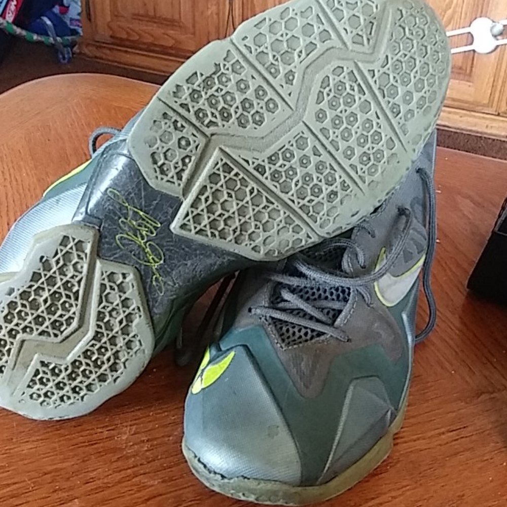 Lebron - Picture 3 of 3